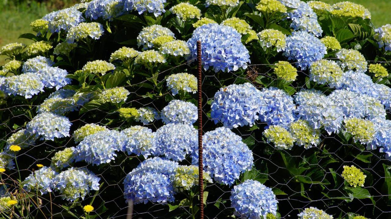 La Dolce Vita Beechmont Eksteriør billede
